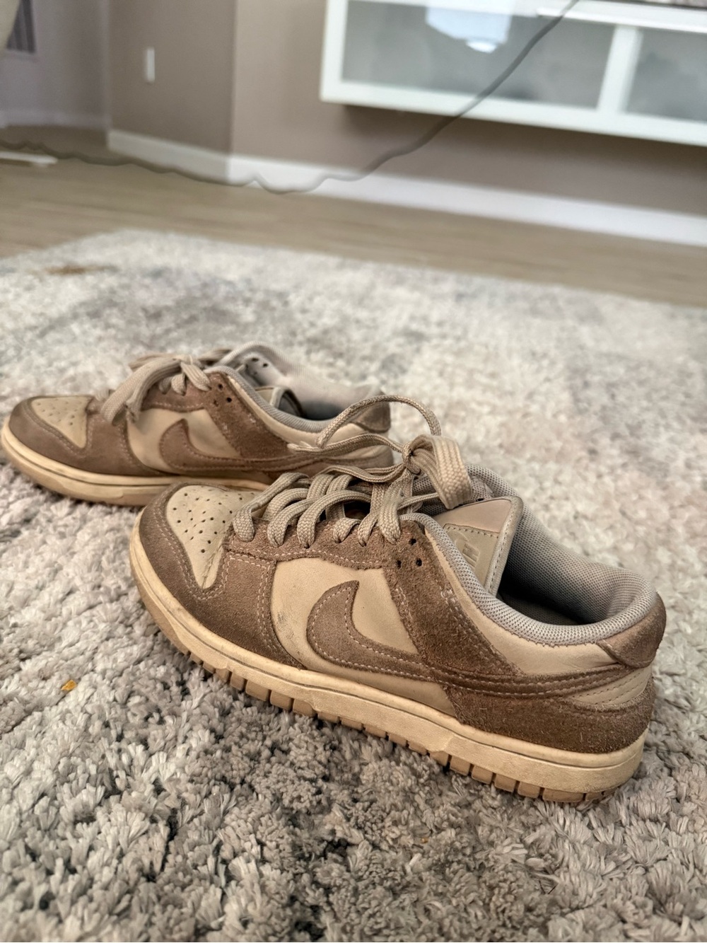 Nike Low-Top Sneakers in Tan and Beige